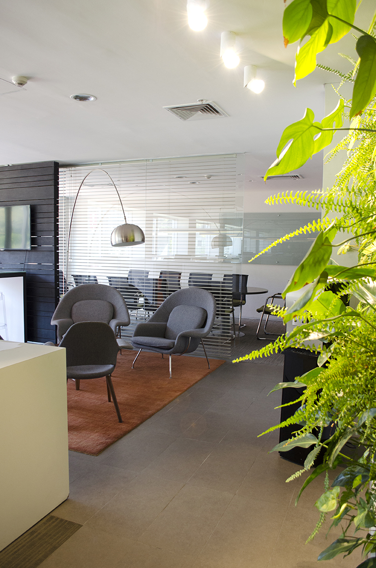 Decoración Oficina - Ciudad Empresarial