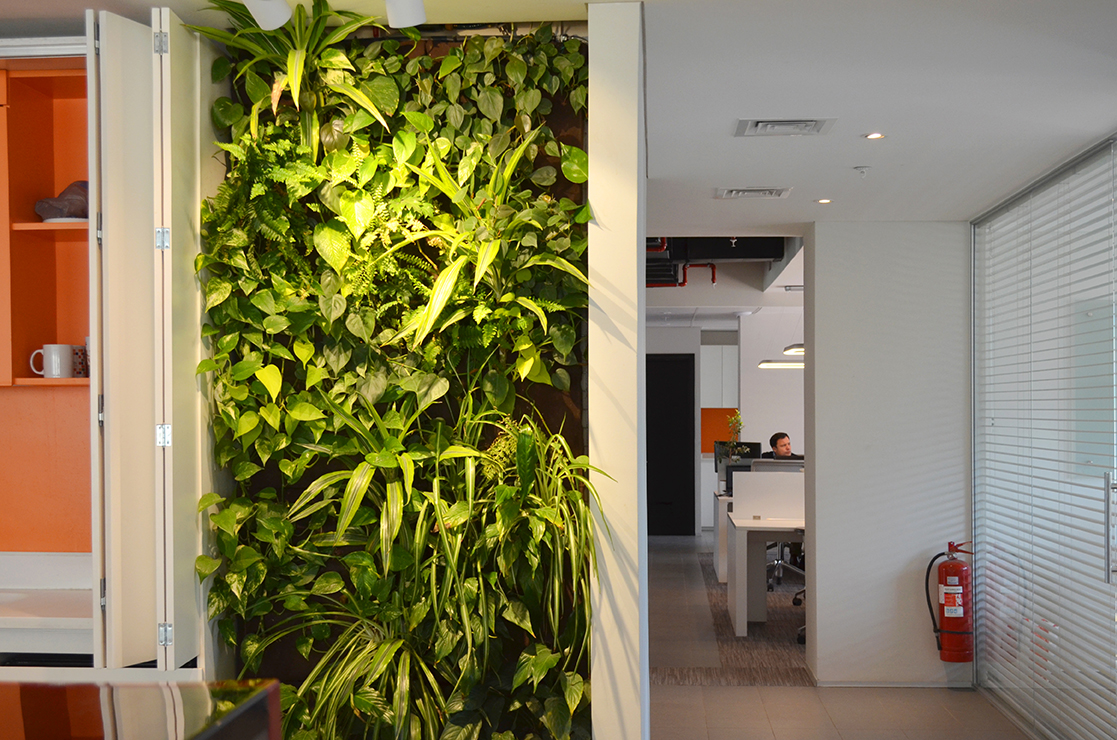 Decoración Oficina - Ciudad Empresarial