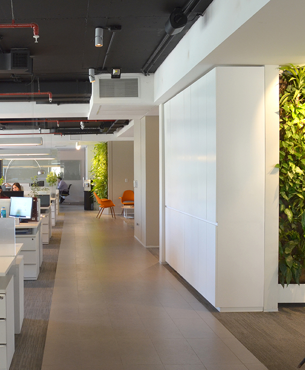 Decoración Oficina - Ciudad Empresarial